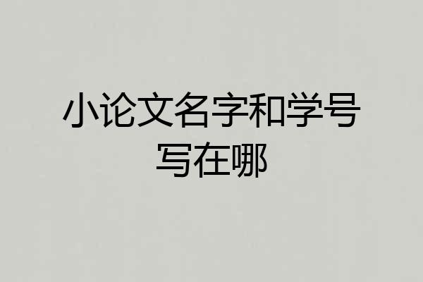 小论文名字和学号写在哪