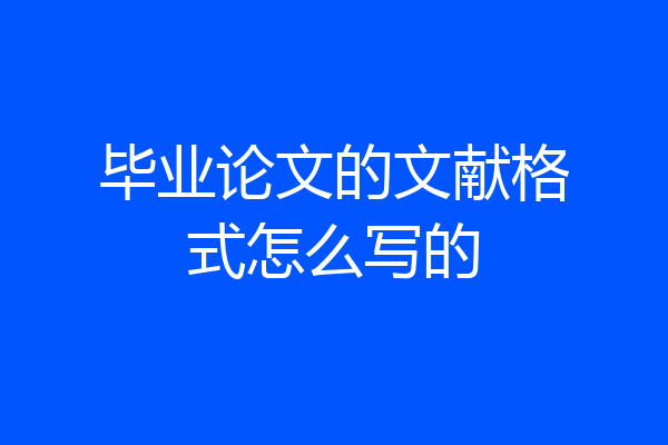 毕业论文的文献格式怎么写的