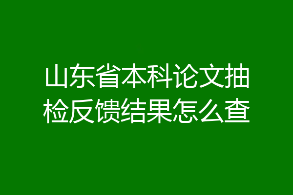 山东省本科论文抽检反馈结果怎么查