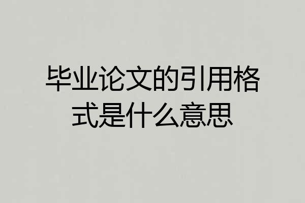 毕业论文的引用格式是什么意思