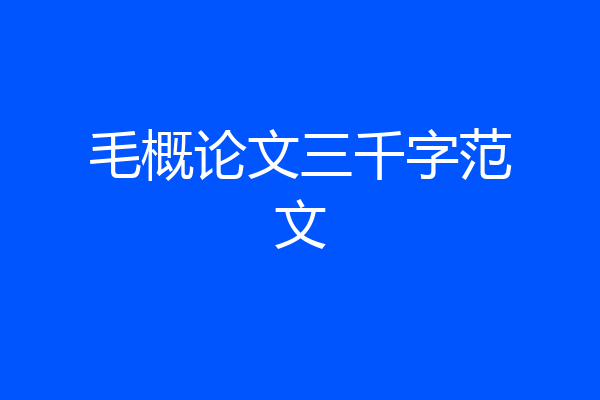 毛概论文三千字范文
