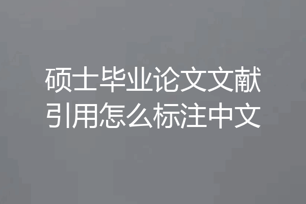 硕士毕业论文文献引用怎么标注中文