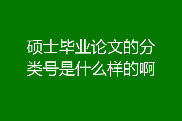 硕士毕业论文的分类号是什么样的啊