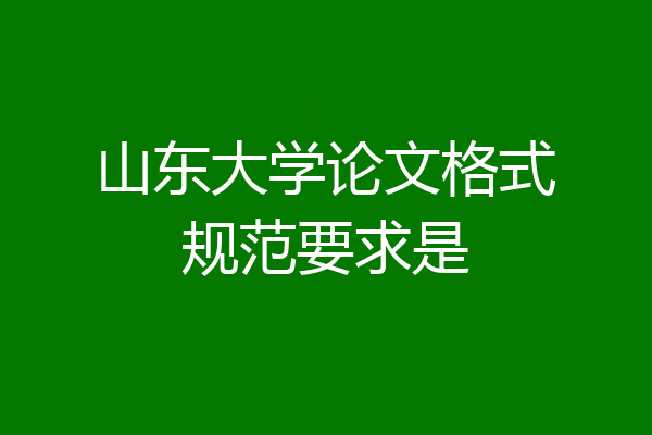 山东大学论文格式规范要求是