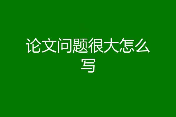 论文问题很大怎么写