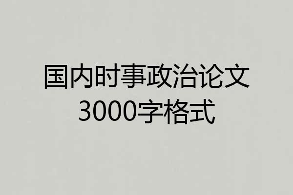 国内时事政治论文3000字格式