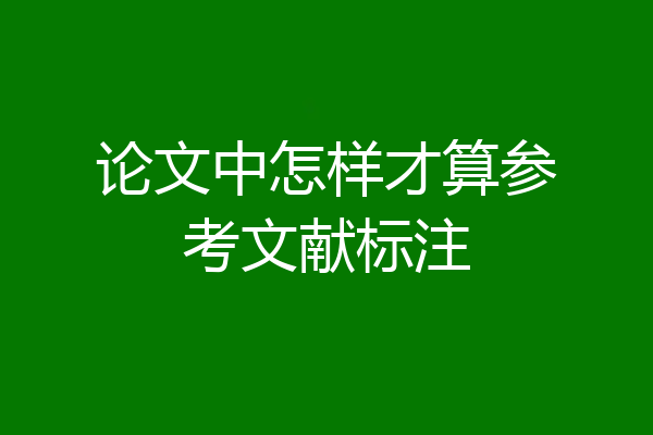 论文中怎样才算参考文献标注
