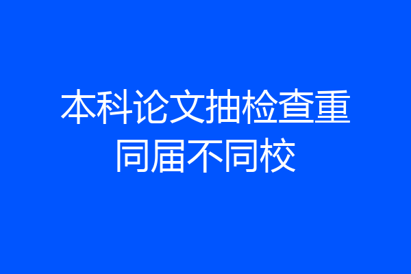 本科论文抽检查重同届不同校