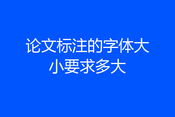 论文标注的字体大小要求多大