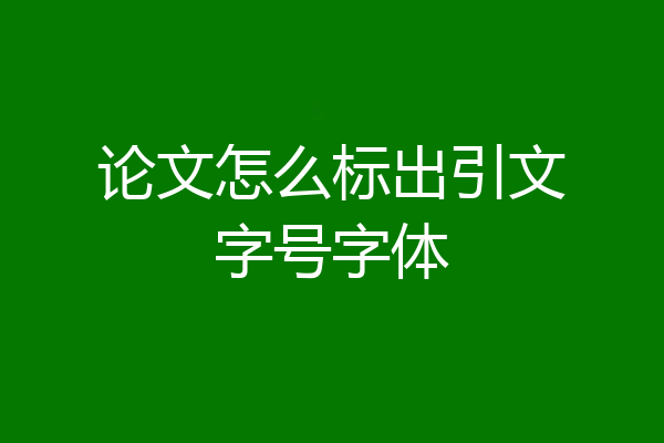 论文怎么标出引文字号字体