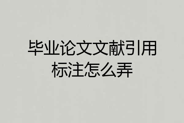 毕业论文文献引用标注怎么弄