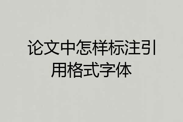 论文中怎样标注引用格式字体