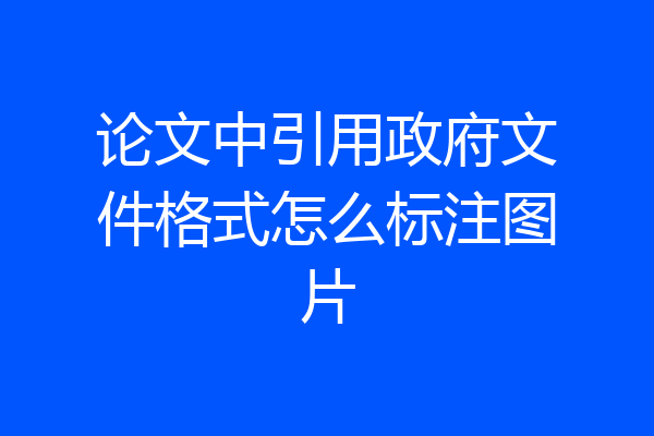 论文中引用政府文件格式怎么标注图片