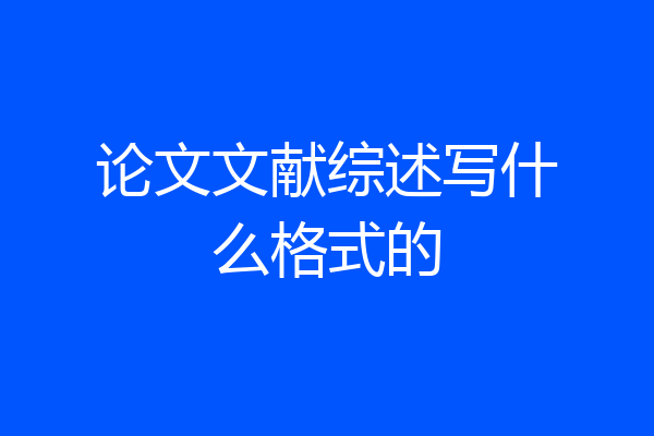 论文文献综述写什么格式的