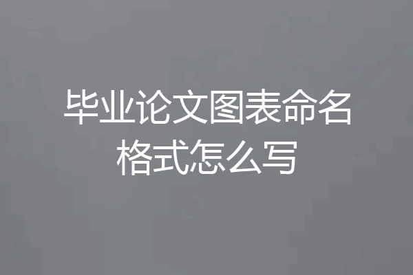 毕业论文图表命名格式怎么写