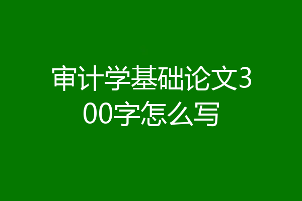 审计学基础论文300字怎么写