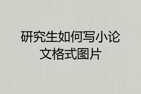 研究生如何写小论文格式图片
