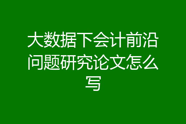 大数据下会计前沿问题研究论文怎么写