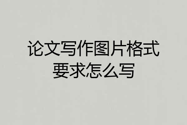 论文写作图片格式要求怎么写
