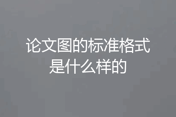 论文图的标准格式是什么样的