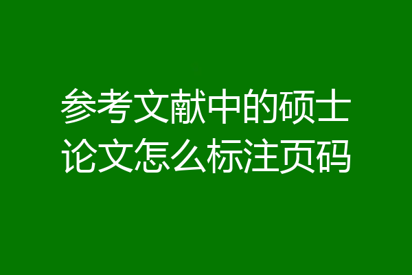 参考文献中的硕士论文怎么标注页码