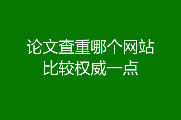 论文查重哪个网站比较权威一点