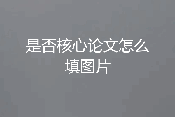 是否核心论文怎么填图片