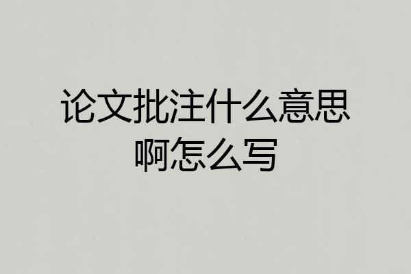论文批注什么意思啊怎么写