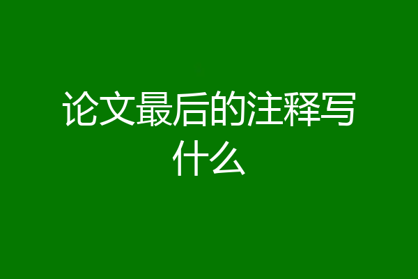 论文最后的注释写什么