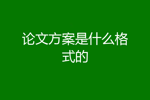 论文方案是什么格式的