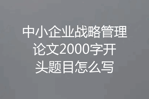 中小企业战略管理论文2000字开头题目怎么写