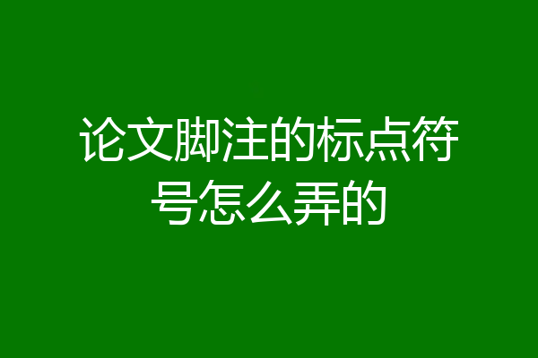 论文脚注的标点符号怎么弄的
