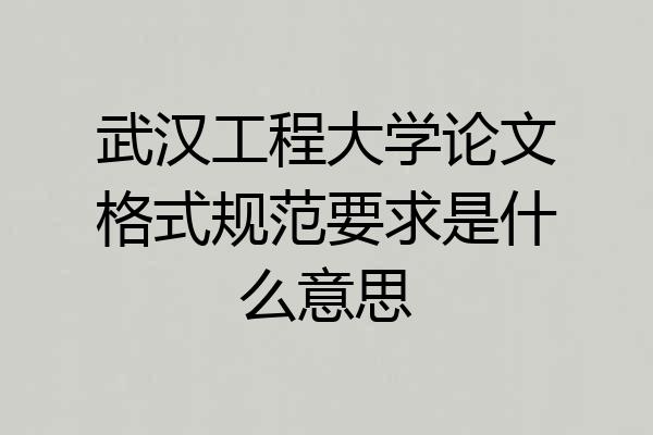 武汉工程大学论文格式规范要求是什么意思