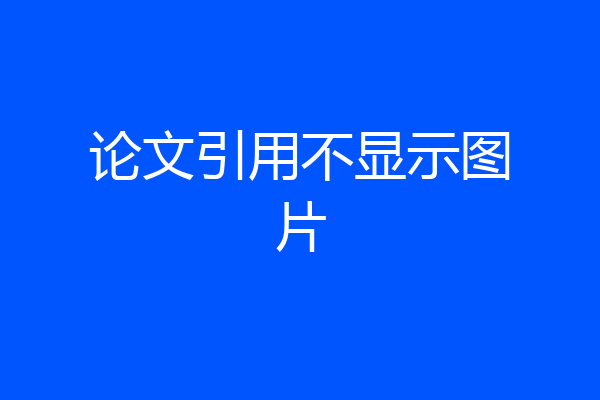 论文引用不显示图片