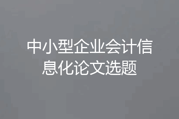 中小型企业会计信息化论文选题