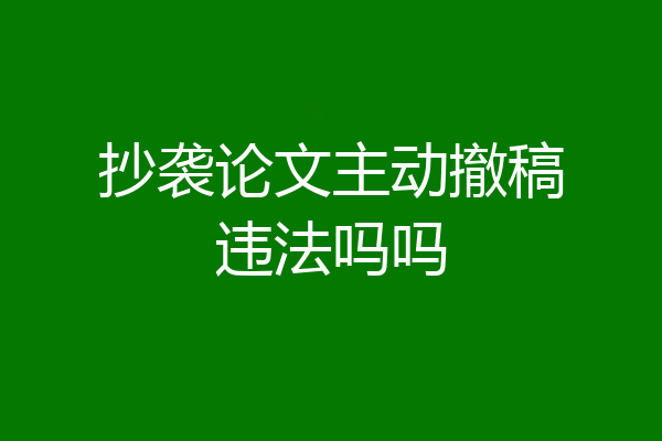 抄袭论文主动撤稿违法吗吗