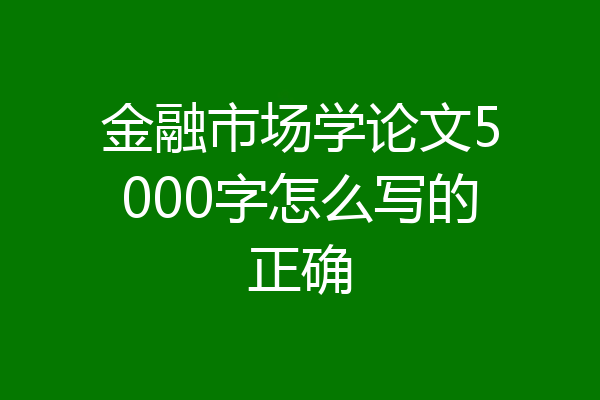 金融市场学论文5000字怎么写的正确