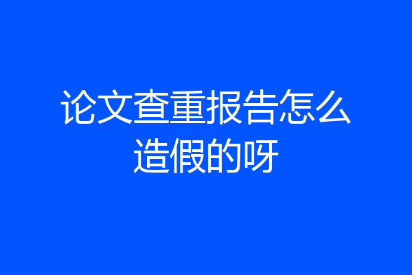 论文查重报告怎么造假的呀