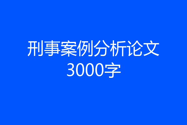 刑事案例分析论文3000字