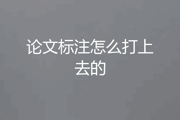 论文标注怎么打上去的