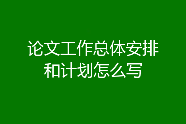 论文工作总体安排和计划怎么写
