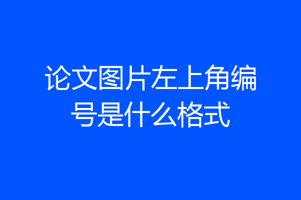 论文图片左上角编号是什么格式