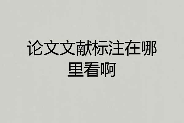 论文文献标注在哪里看啊