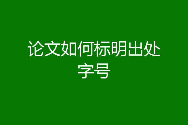 论文如何标明出处字号