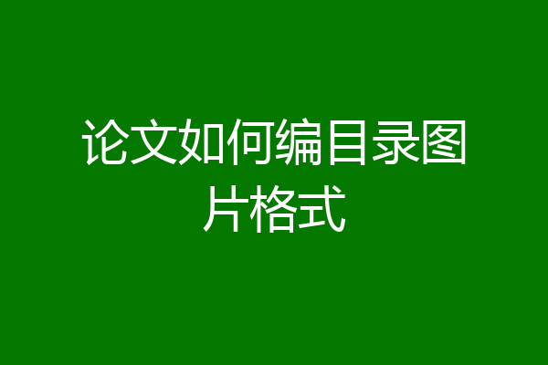 论文如何编目录图片格式