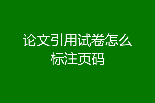 论文引用试卷怎么标注页码