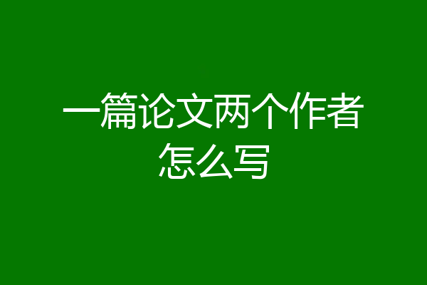 一篇论文两个作者怎么写