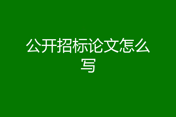 公开招标论文怎么写