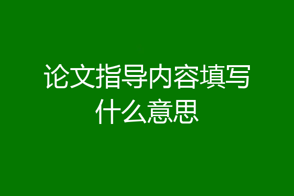 论文指导内容填写什么意思