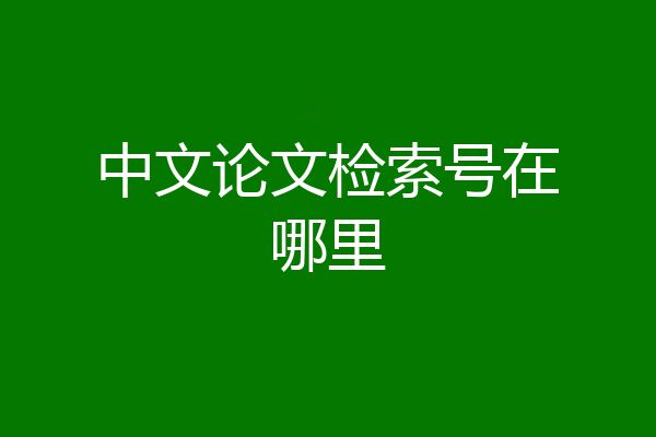 中文论文检索号在哪里